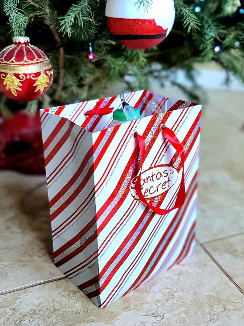 Secret Santa Automatic Christmas Tree Watering System